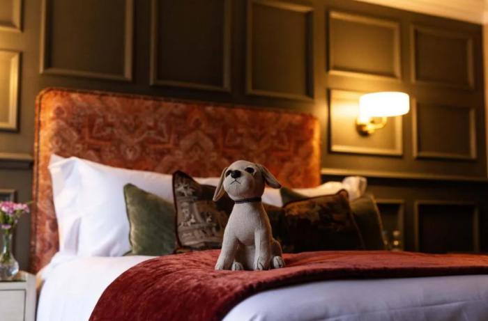 카트멜 Aynsome Manor B&B 객실 사진